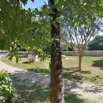 호텔 Domaine De Gaia, Piscine, Petanque, Ping Pong, Proche Saint-emilion *