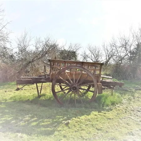 Domaine De Gaia, Piscine, Petanque, Ping Pong, Proche Saint-emilion Bed & Breakfast
